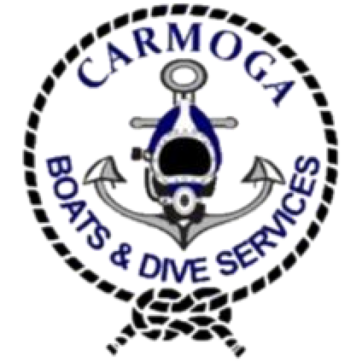 Carmoga S.A. de C.V.